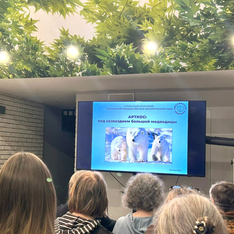 Лекторий «Арктос — под созвездием белой медведицы»