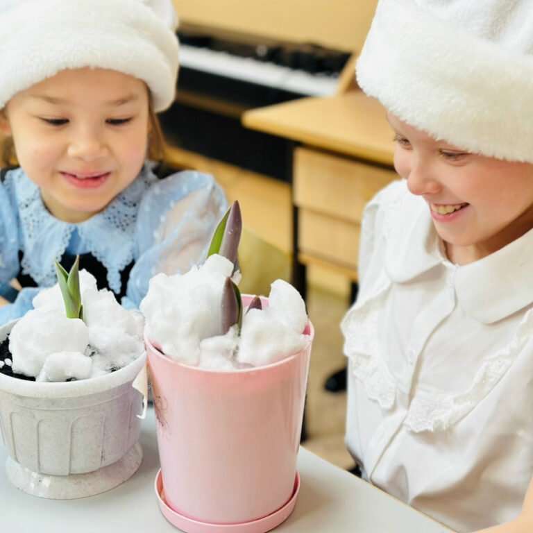 Тюльпаны за полярным кругом