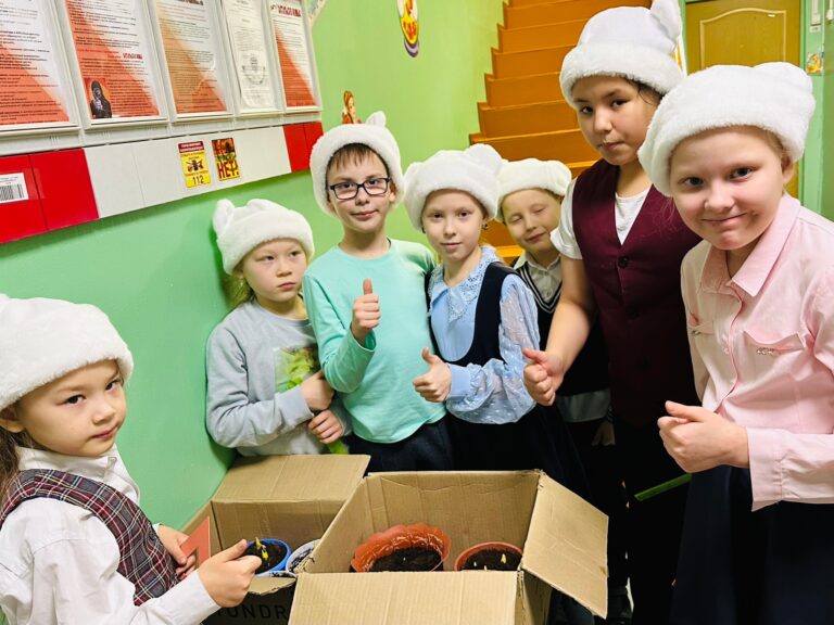 «Белый мишка. Амдерма»: тюльпаны в январе