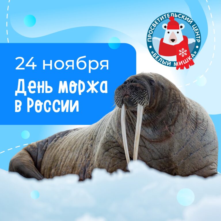 Важная дата — Всероссийский день моржа!