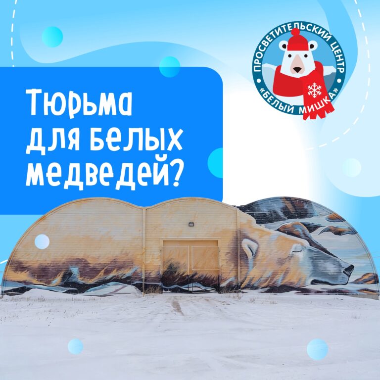 Белых медведей сажают в тюрьму?