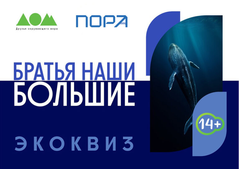 Братья наши большие