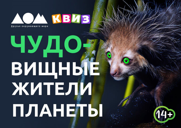 ЧУДОвищные животные