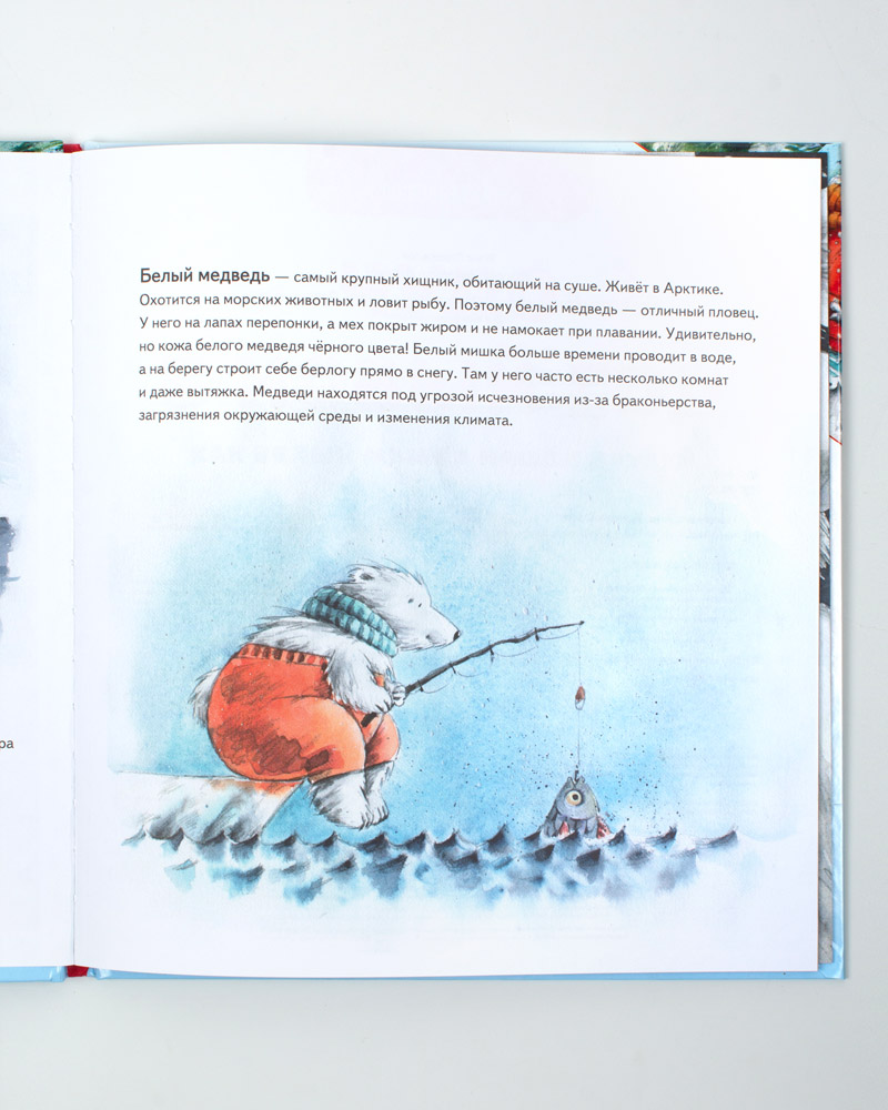 Книга «Чудо в Новый год» — изображение 5