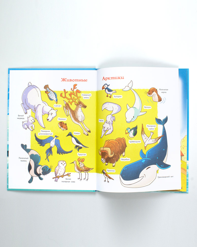 Книга «Прямо по курсу: Арктика» — изображение 5
