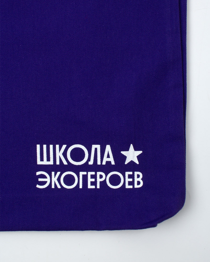 Шоппер «Школа экогероев» — изображение 4