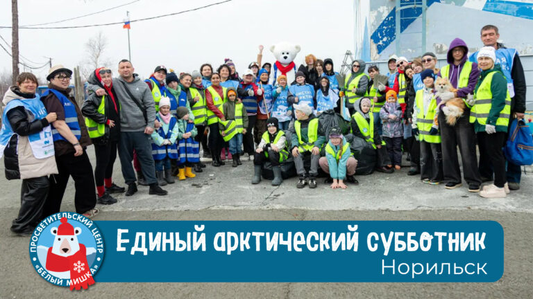 Окунитесь в атмосферу Единого арктического субботника в Норильске!